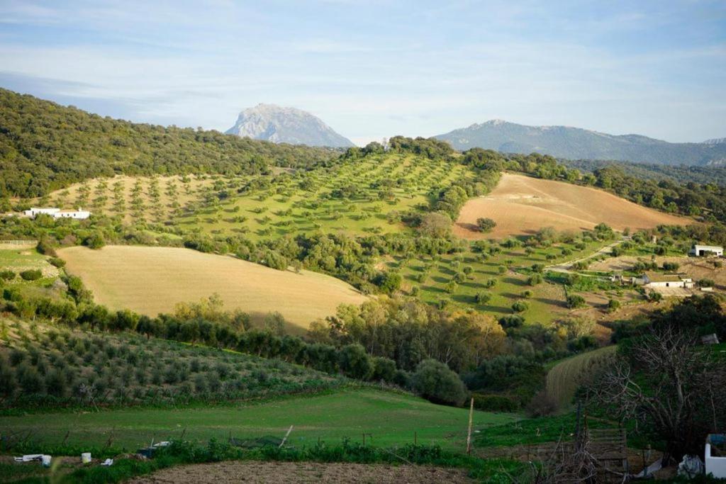 Hacienda San Francisco Βίλα Prado Del Rey Εξωτερικό φωτογραφία