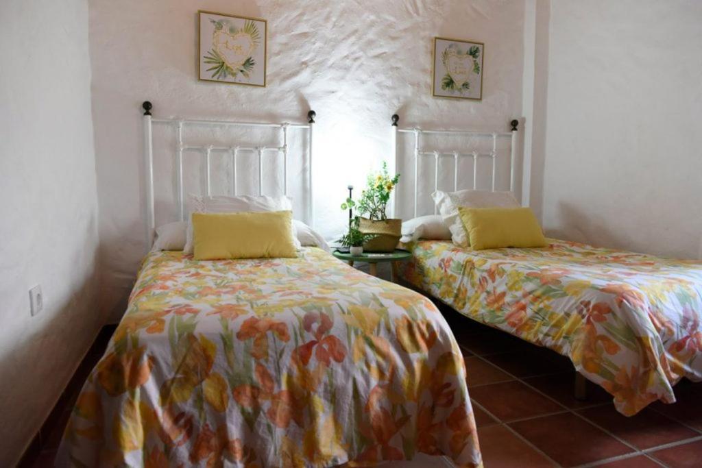 Hacienda San Francisco Βίλα Prado Del Rey Εξωτερικό φωτογραφία