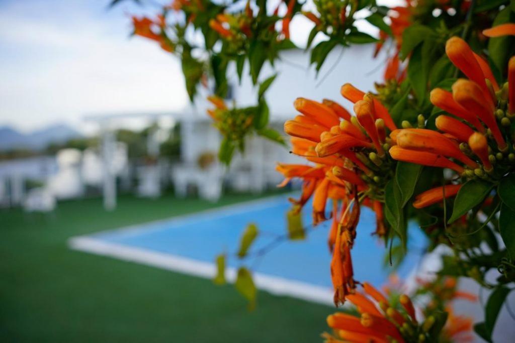Hacienda San Francisco Βίλα Prado Del Rey Εξωτερικό φωτογραφία